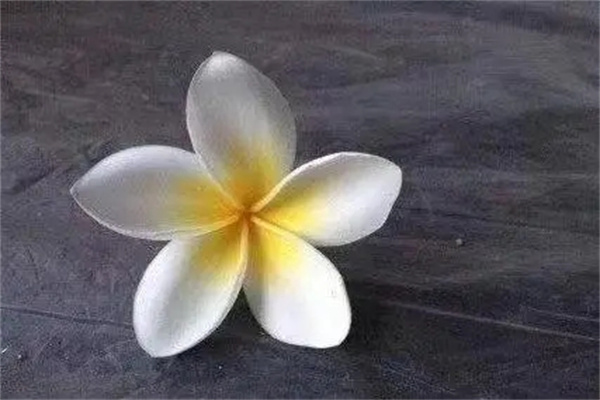 ​组合好的八字的特征