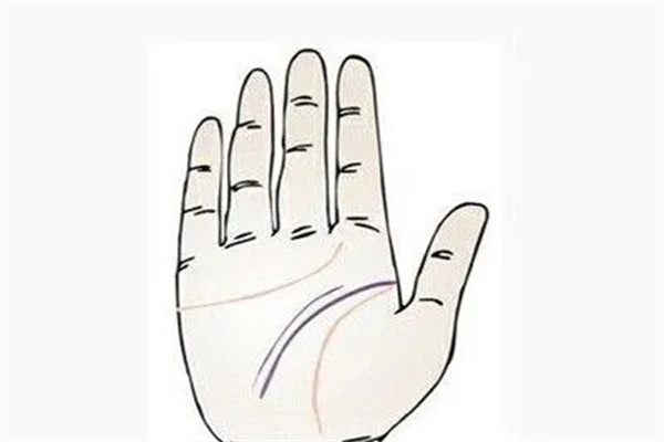 两条智慧线代表什么