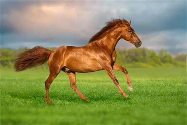 1990年出生的人的命运