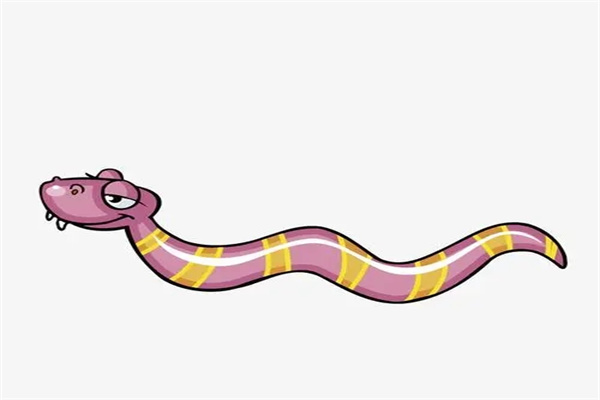 1977年出生的人命好吗