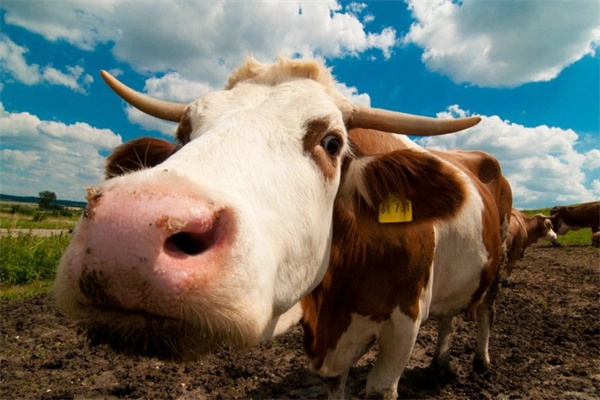 1973年出生的人是什么命