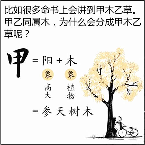 八字基础知识：十天干、甲木