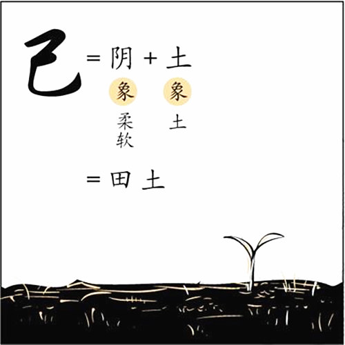 八字基础知识：十天干、己土