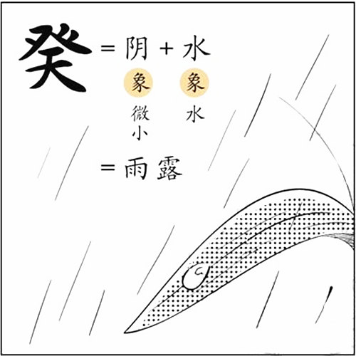 八字基础知识：十天干、癸水