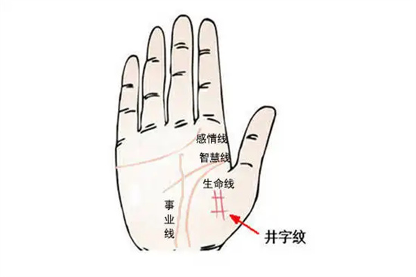 手相井字纹代表什么