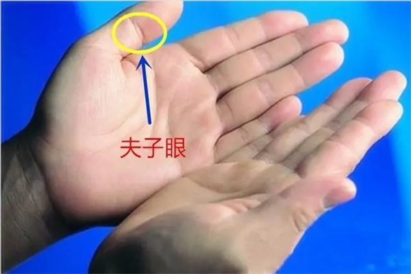 贤妻良母的手相特征