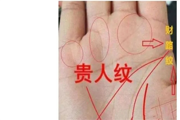 手掌中的贵人纹在哪里