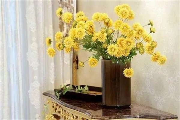 家里放假花风水好吗