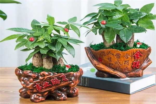 u=4254594646,236194710&fm=253&fmt=auto&app=138&f=JPEG.webp.jpg u=4254594646,236194710&fm=253&fmt=auto&app=138&f=JPEG.webp.jpg