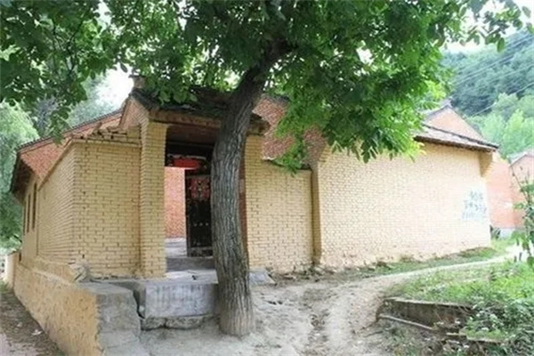 大门前栽树的风水