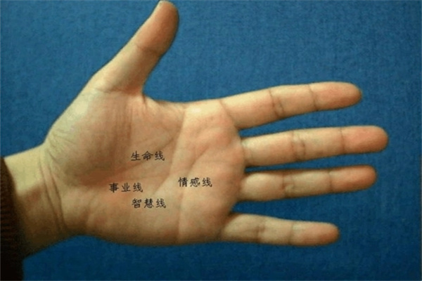 教你如何看手相