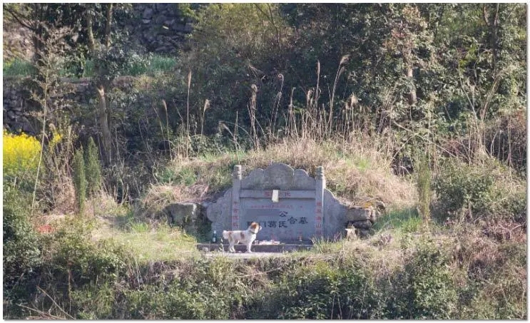 祖坟风水不好什么样