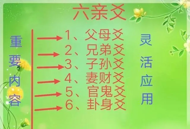 六爻六亲指哪六亲，六爻六亲取象
