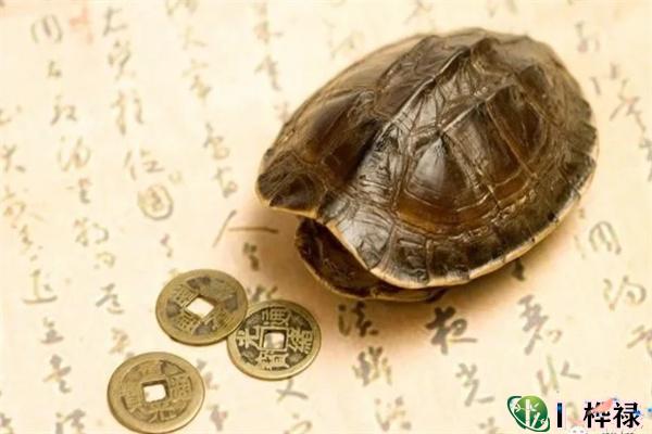 六爻测凶吉技巧