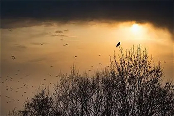 u=3627455970,3302871466&fm=253&fmt=auto&app=138&f=JPEG.webp.jpg u=3627455970,3302871466&fm=253&fmt=auto&app=138&f=JPEG.webp.jpg