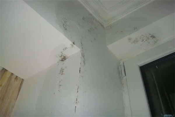 u=2575949640,3410044099&fm=253&fmt=auto&app=138&f=JPEG.webp.jpg u=2575949640,3410044099&fm=253&fmt=auto&app=138&f=JPEG.webp.jpg