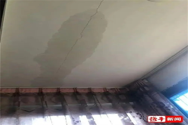 u=4139766871,2540681189&fm=253&fmt=auto&app=120&f=JPEG.webp.jpg u=4139766871,2540681189&fm=253&fmt=auto&app=120&f=JPEG.webp.jpg