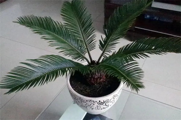 u=717455531,3626419016&fm=253&fmt=auto&app=138&f=JPEG.webp.jpg u=717455531,3626419016&fm=253&fmt=auto&app=138&f=JPEG.webp.jpg