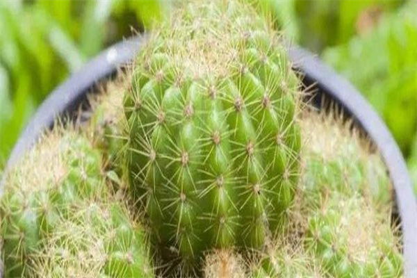 202201141642169132473533.jpg 202201141642169132473533.jpg