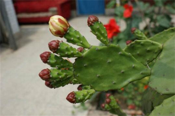 iqzpafoft2x120254.jpg iqzpafoft2x120254.jpg