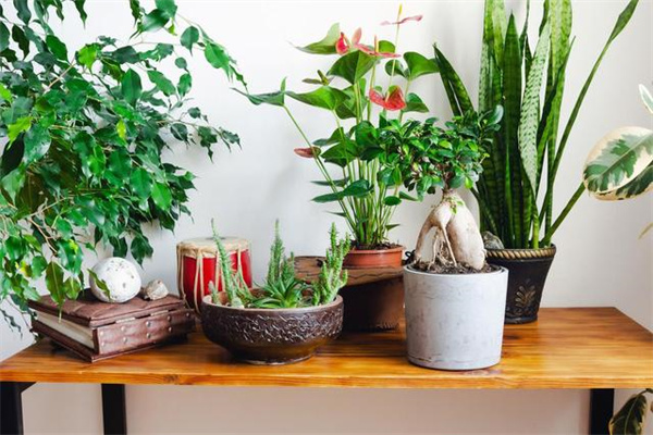 u=3273532805,192025891&fm=30&app=106&f=JPEG.jpg u=3273532805,192025891&fm=30&app=106&f=JPEG.jpg