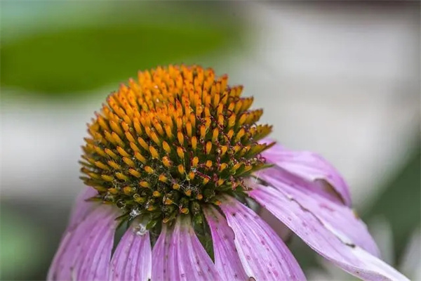 c8ea15ce36d3d539191c1b42e87d515b342ab010.webp.jpg c8ea15ce36d3d539191c1b42e87d515b342ab010.webp.jpg