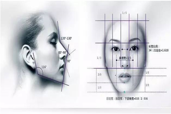 三庭五眼是什么（三庭五眼是什么意思）