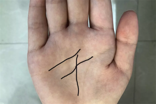 ​可以赚很多钱的手相特征