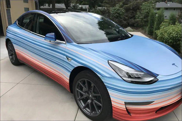 财位上不能放什么(财位上不能放什么植物)