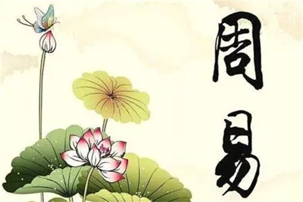 u=3539629083,269390973&fm=253&fmt=auto&app=138&f=JPEG.webp.jpg u=3539629083,269390973&fm=253&fmt=auto&app=138&f=JPEG.webp.jpg