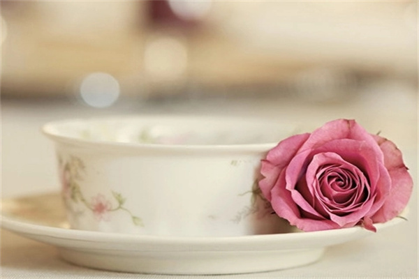 u=3981597206,1716750751&fm=253&fmt=auto&app=138&f=PNG.webp.jpg u=3981597206,1716750751&fm=253&fmt=auto&app=138&f=PNG.webp.jpg