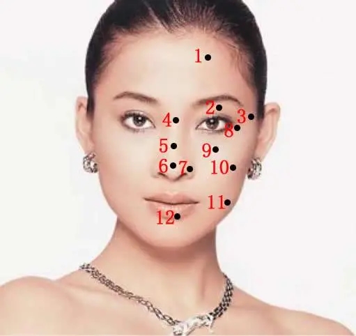 u=1484340073,1926125660&fm=253&fmt=auto&app=138&f=JPEG.webp.jpg u=1484340073,1926125660&fm=253&fmt=auto&app=138&f=JPEG.webp.jpg