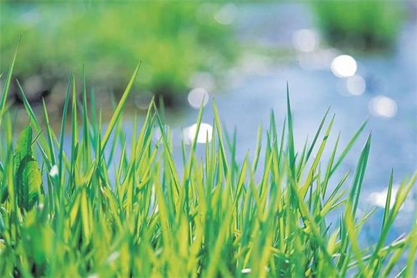 360截图20230613210001401.jpg 360截图20230613210001401.jpg