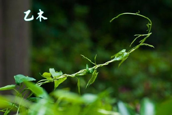 9922720e0cf3d7ca2399ec069d6c2a006a63a9d4.jpeg 9922720e0cf3d7ca2399ec069d6c2a006a63a9d4.jpeg