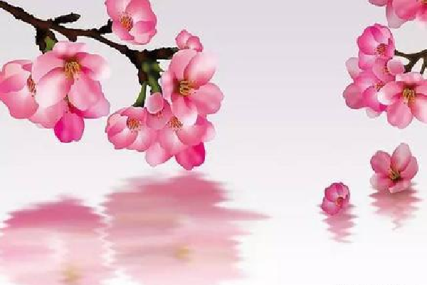 八字命理中的19种桃花（八字命理中的19种桃花是什么）