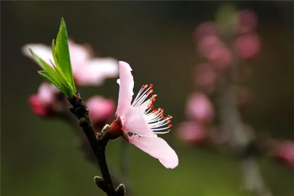 u=1035887475,667426207&fm=253&fmt=auto&app=138&f=JPEG.webp.jpg u=1035887475,667426207&fm=253&fmt=auto&app=138&f=JPEG.webp.jpg