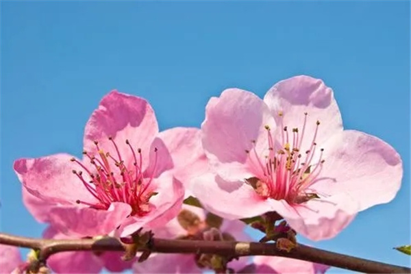 u=2363443839,741122011&fm=253&fmt=auto&app=138&f=JPEG.webp.jpg u=2363443839,741122011&fm=253&fmt=auto&app=138&f=JPEG.webp.jpg