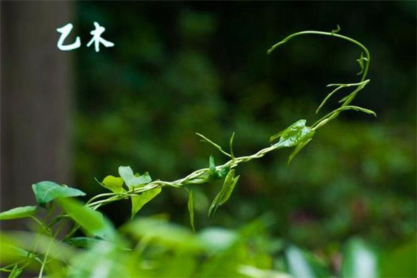 360截图20230705232353064.jpg 360截图20230705232353064.jpg