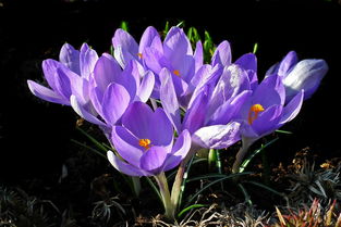 女人体相看大福大贵(女人体相看大福大贵图片)