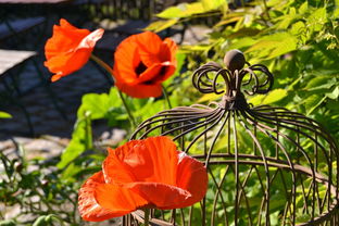 女人体相看大福大贵(女人体相看大福大贵图片)