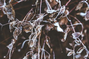 怎么增加财运方面的风水（怎么增加财运方面的风水呢）