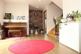 衣柜摆放风水（衣柜摆放风水正确图）