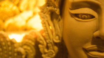 八字七杀多的女人命好不好（八字七杀多的女生）