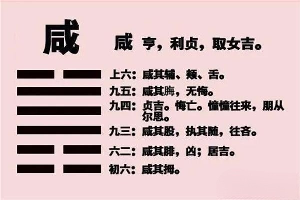 u=3204662310,1179857882&fm=253&fmt=auto&app=138&f=JPEG.webp.jpg u=3204662310,1179857882&fm=253&fmt=auto&app=138&f=JPEG.webp.jpg