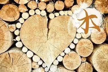 木命的男人命运好不好