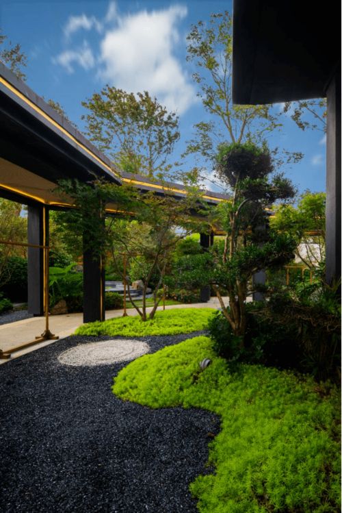 院子见不到阳光风水好吗（院子见不到阳光风水好吗视频）