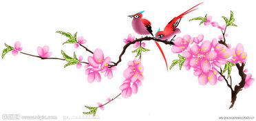 石榴的风水寓意（石榴的风水寓意是什么）