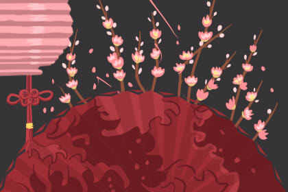 石榴的风水寓意(石榴的风水寓意是什么)