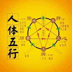 八字五行缺火的人性格(八字五行缺火的人性格特点)
