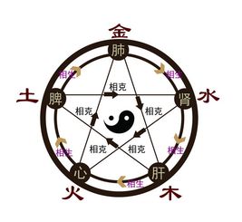 五行缺木如何化解(五行木弱的人怎么化解)